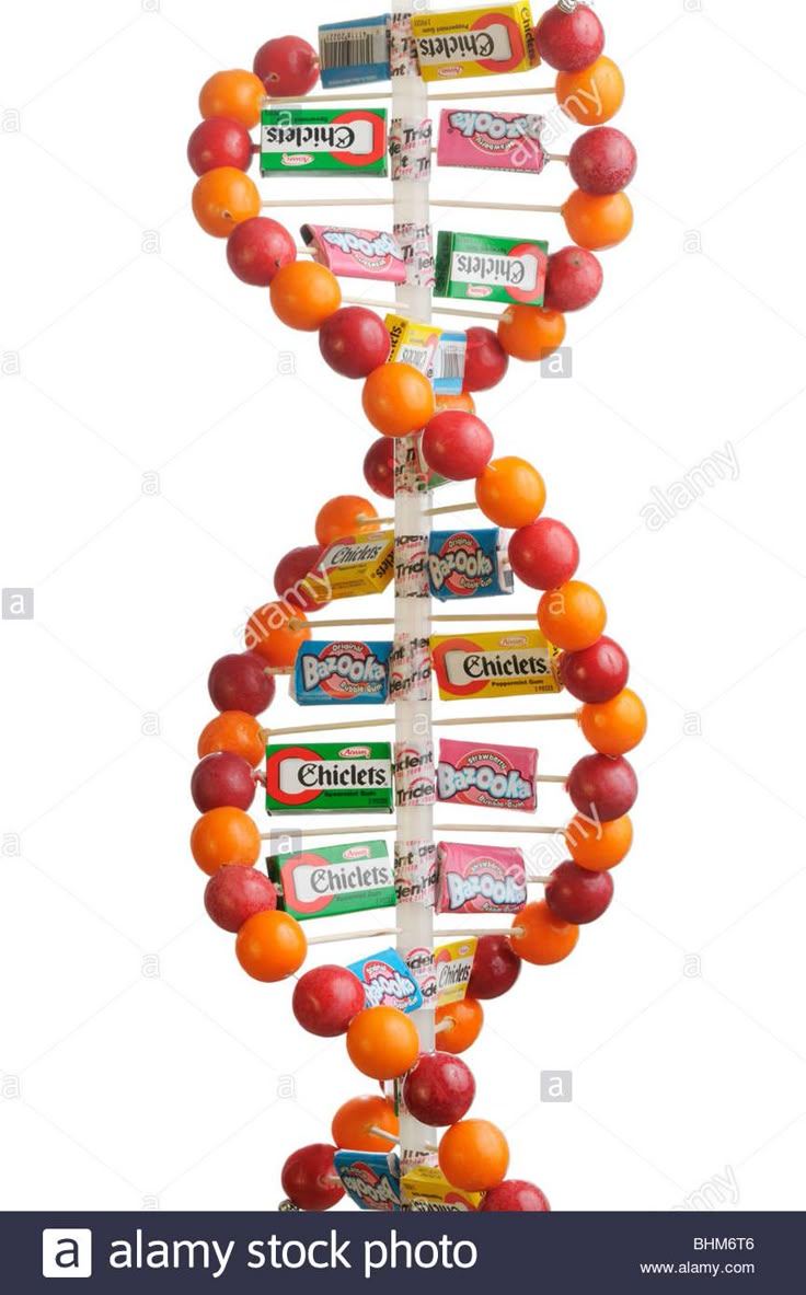 worksheet Dna The Double Helix Worksheet Answers best 25 dna double helix model ideas on pinterest project made of gum balls and candy boxes wrappers stock photo