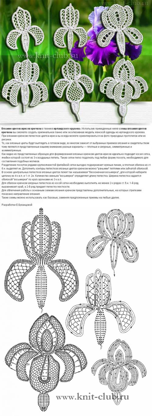 crochet lirio Hoa