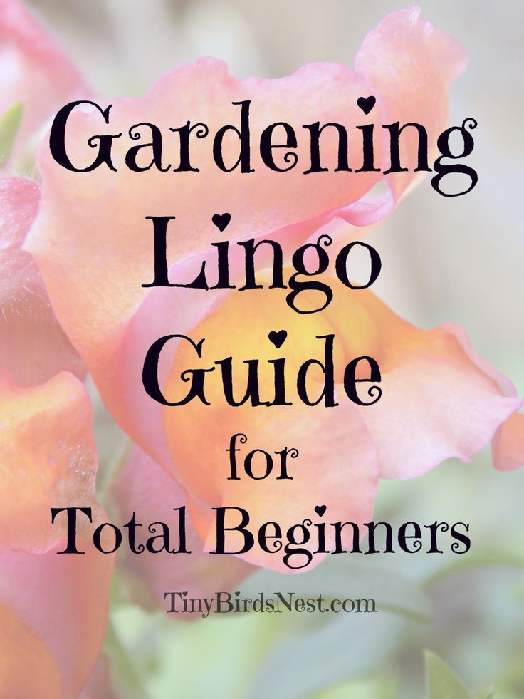 Complete Beginners Guide To Gardening Terminology Urban Garden