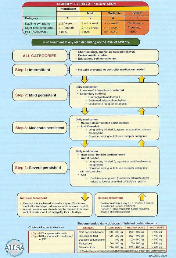 Bronchial Asthma u003eu003eu003e To view further for this item, visit the - sample asthma action plan Bronchial Asthma u003eu003eu003e To view further for this item, visit the - sample asthma action plan