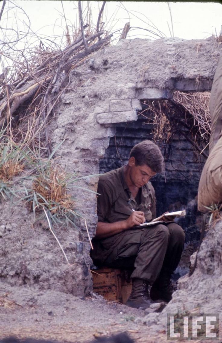 Dear america letters home from vietnam essay