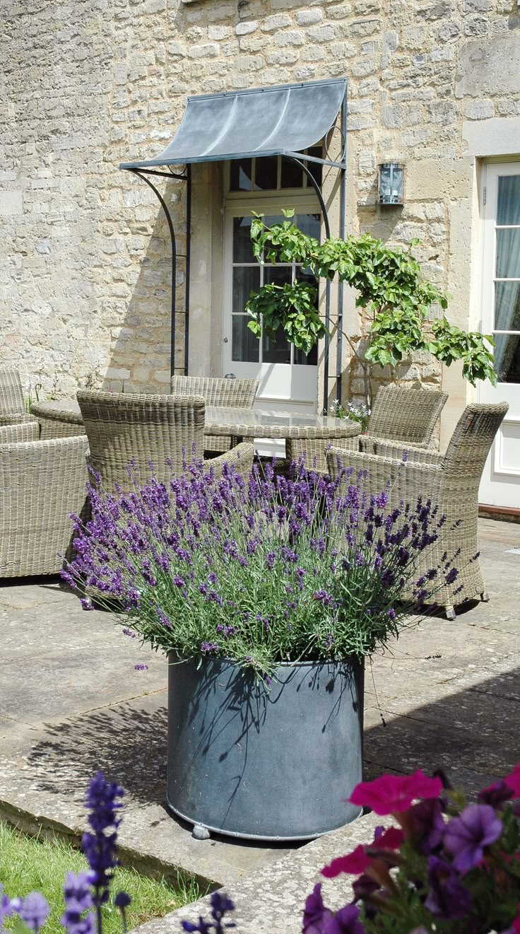 Garden Ideas Large Space the 25+ best large outdoor planters ideas on pinterest | big Garden Ideas Large Space the 25+ best large outdoor planters ideas on pinterest | big