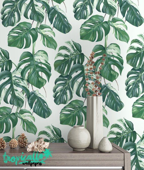 Monstera Leaves Print Wallpaper Removable Wallpaper Etsy Palm Monstera Leaves Print Wallpaper Removable Wallpaper Etsy Palm