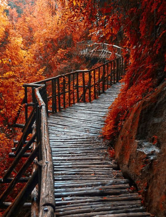 Autumn Falls 1 Autumn Falls 1