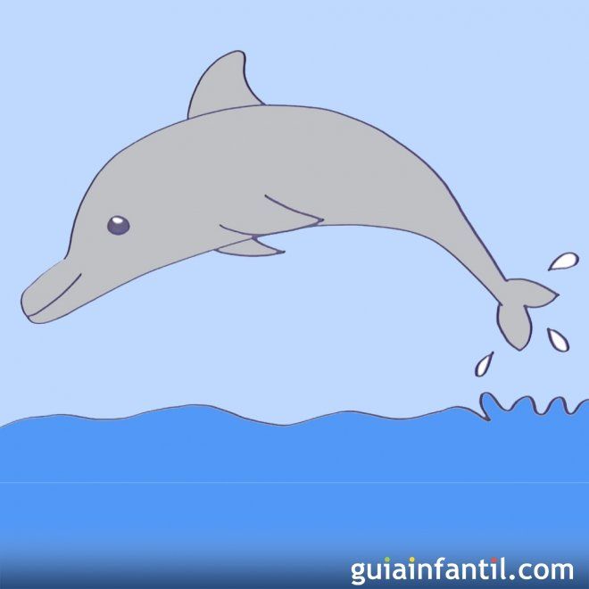 Cómo Hacer Paso A Paso Un Dibujo De Un Delfín Delfines Para Niños Como Dibujar Un Delfin Aprender A Dibujar Animales