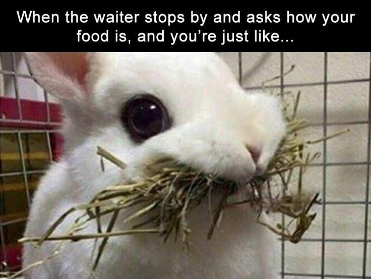 best 25 fun meme ideas on pinterest laugh meme, truth meme and 4bbfbb2a404caea1665e92bcf3a0e226 relatable funny memes school funny memes best 25 fun meme ideas on pinterest laugh meme, truth meme and,Body Language Funny Memes