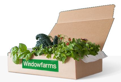Vancouver Bc Best Food To Grow Food And Herbs Vancouver Bc Best Food To Grow Food And Herbs
