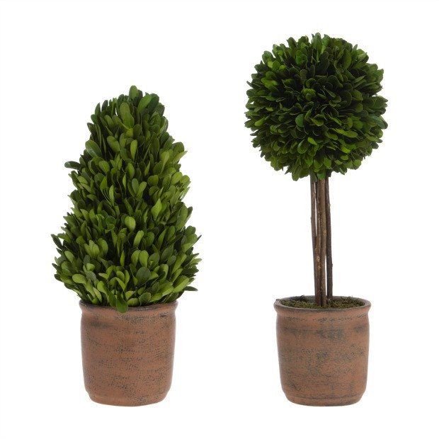 Potted Boxwood Cone Topiary And Ball Topiary Set Of 2 Antique Farmhouse Boxwood Topiary Artificial Plants For Sale Topiary