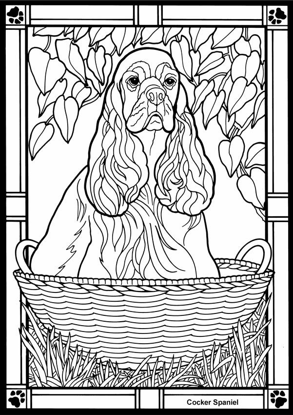 484 best coloring pages images on Pinterest Coloring books - fresh coloring pages of sonic the hedgehog 484 best coloring pages images on Pinterest Coloring books - fresh coloring pages of sonic the hedgehog