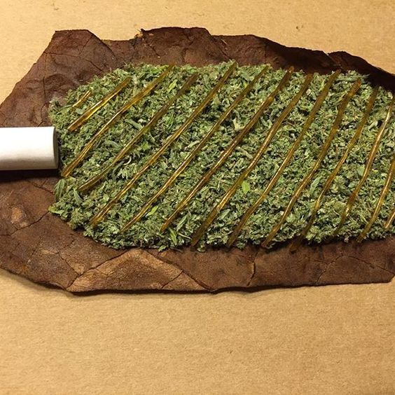 weed seeds for sale uk best 25 cannabis seeds for sale ideas on pinterest weed seeds for sale uk best 25 cannabis seeds for sale ideas on pinterest
