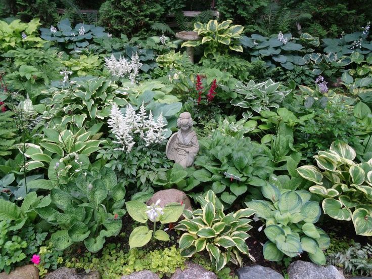 Flower Garden Ideas Wisconsin 429 best hosta garden idea images on pinterest | gardening, garden Flower Garden Ideas Wisconsin 429 best hosta garden idea images on pinterest | gardening, garden