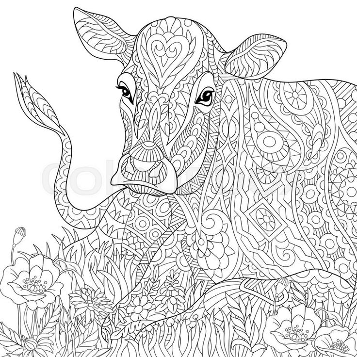 Buy The Royalty Free Stock Vector Image Zentangle Stylized Cartoon Pasturing Cow Flower Blossom Grass Field Doodle Coloring
