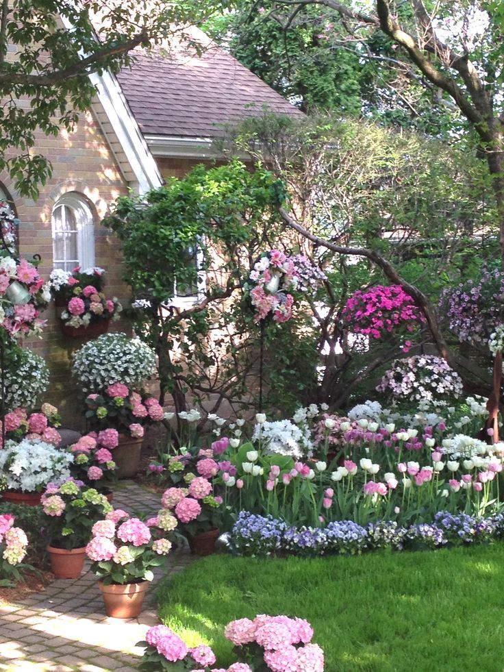Garden Ideas For Spring best 20+ spring garden ideas on pinterest | spring flowers, dream Garden Ideas For Spring best 20+ spring garden ideas on pinterest | spring flowers, dream