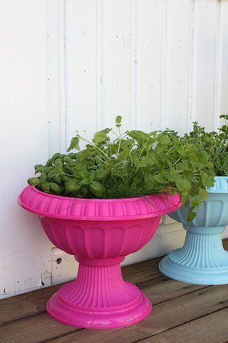 Best Color Green Spray Paint For Shrubs Best Color Green Spray Paint For Shrubs