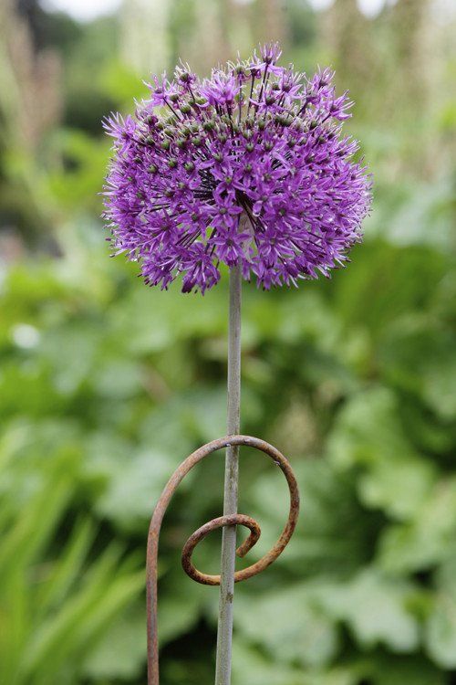 Garden Ideas 2014 Uk 198 best garden: tools images on pinterest | garden tools, garden Garden Ideas 2014 Uk 198 best garden: tools images on pinterest | garden tools, garden