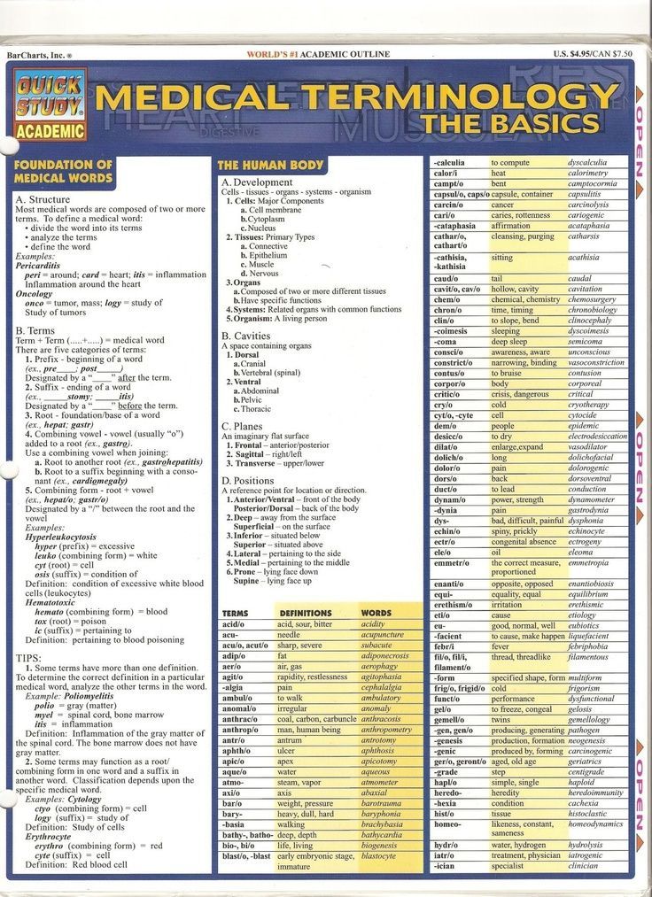 1095 best Correctional Nursing images on Pinterest Nurses - wound ostomy continence nurse sample resume 1095 best Correctional Nursing images on Pinterest Nurses - wound ostomy continence nurse sample resume