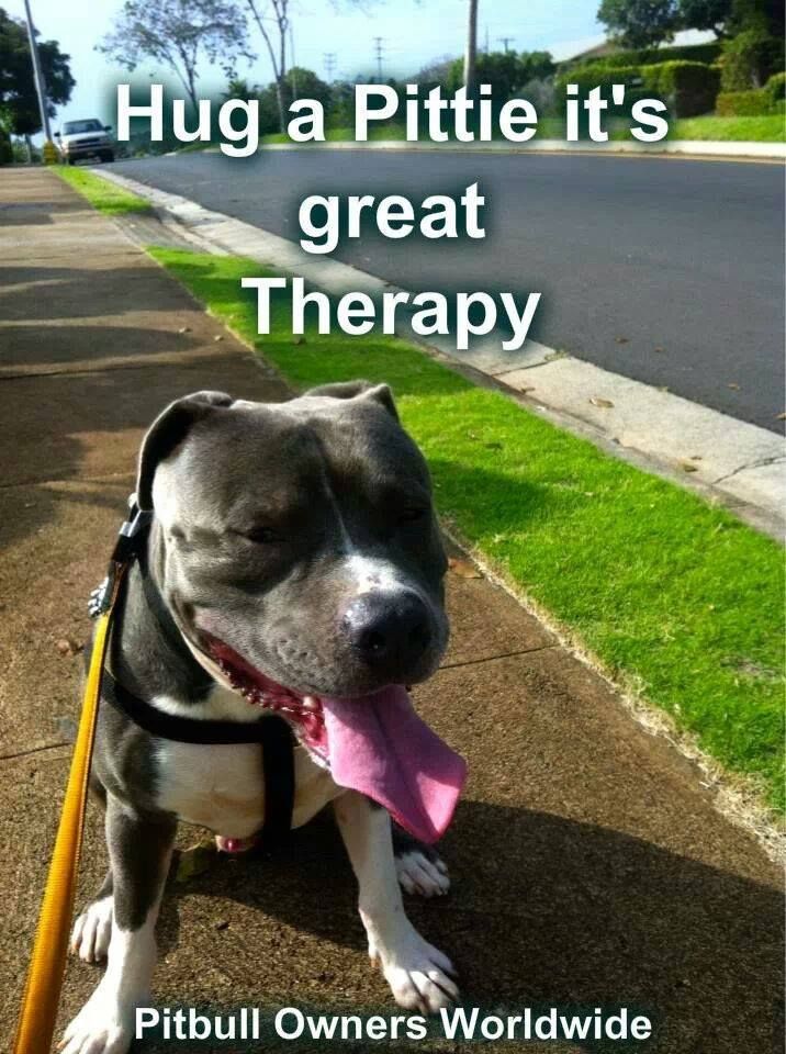Treats To Help Stop Dog Farts Treats To Help Stop Dog Farts