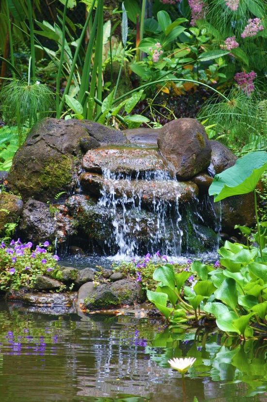 Garden Ponds Design Ideas ad backyard ponds water gardens 15 Best 25 Garden Ponds Ideas Only On Pinterest Ponds Pond Ideas And Outdoor Fish Ponds Garden Ponds Design Ideas small backyard fish pond ideas make your landscape interesting with the use of a water fountain Best 25 Garden Ponds Ideas Only On Pinterest Ponds Pond Ideas And Outdoor Fish Ponds