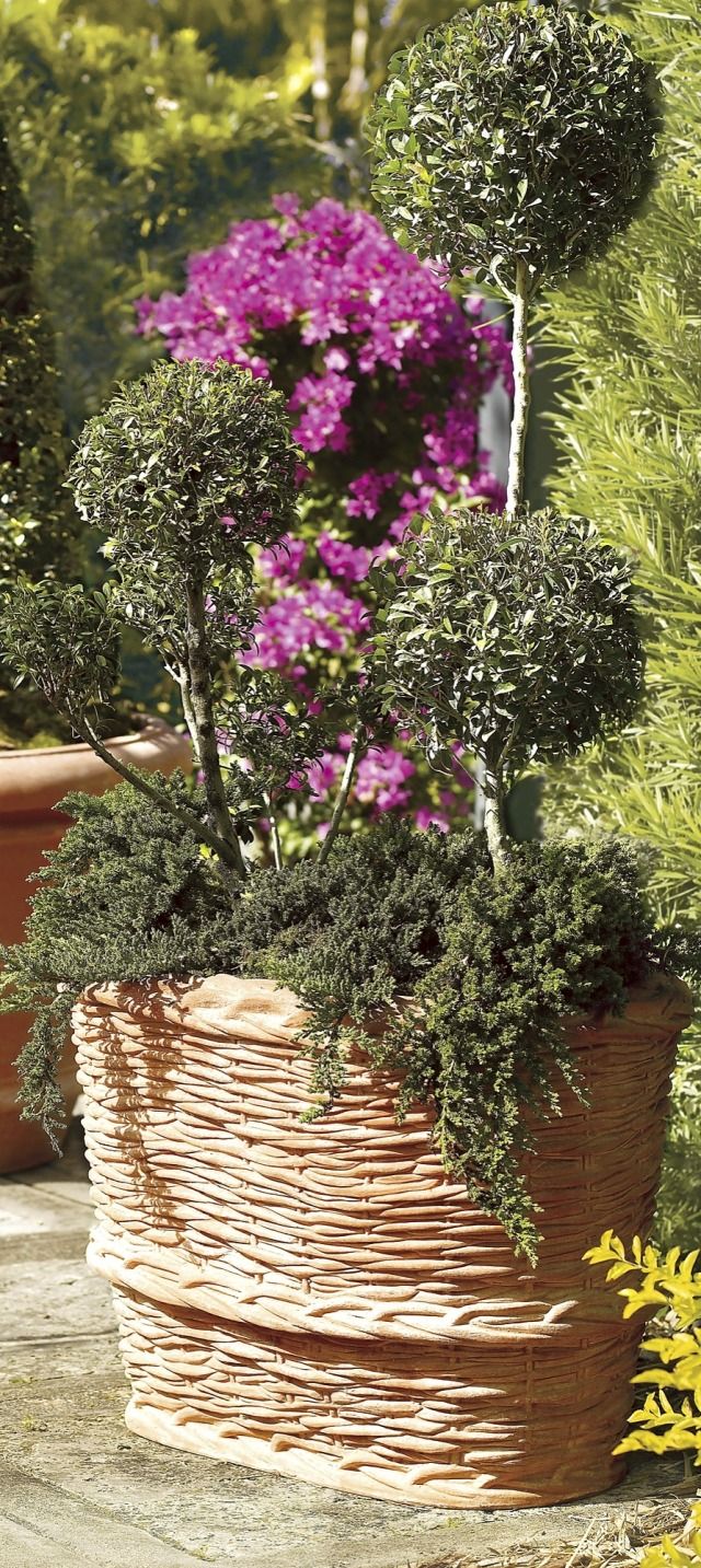 best 670 garden oasis images on pinterest | home decor | garden best 670 garden oasis images on pinterest | home decor | garden