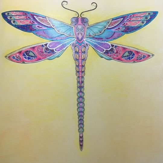 Dragonfly Jewelry Art Pens And Pencils Coloring Books Colouring Gel Johanna Basford Dragonflies Wings