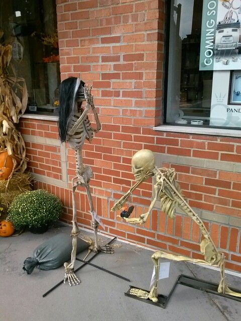 northville halloween skeleton displays this is hilarious skeleton proposing wspider ring so - Halloween Display Ideas northville halloween skeleton displays this is hilarious skeleton proposing wspider ring so - Halloween Display Ideas