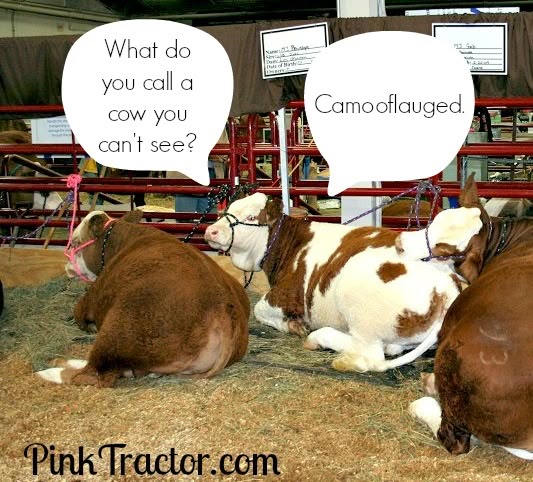 Bad Joke For Your Tuesday Cow Punslame Bad Joke For Your Tuesday Cow Punslame