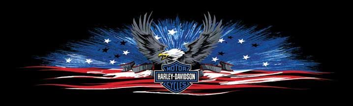14 Ethereal Harley Davidson Wallpaper Marisa Miller Ideas Harley Davidson Decals Harley Davidson Pictures Harley Davidson Wallpaper