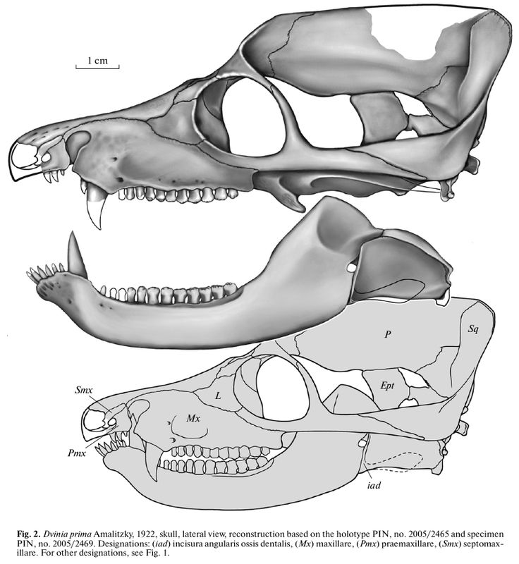 anatomy 2320 syllabus Biol-2020: anatomy and physiology ii syllabus updates: the instructor reserves the right to make changes as necessary to this syllabus. anatomy 2320 syllabus Biol-2020: anatomy and physiology ii syllabus updates: the instructor reserves the right to make changes as necessary to this syllabus.