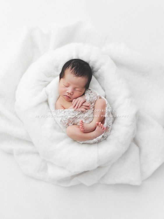 Newborn photographer julie rollins natural organic white newborn posing newborn photography Newborn photographer julie rollins natural organic white newborn posing newborn photography