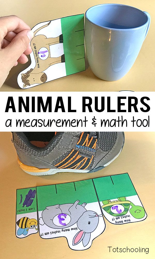 animal rulers measurement and math tool preschool math games