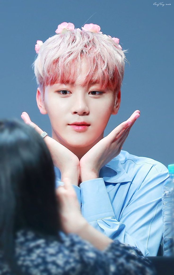 seungkwan woozi wonwoo jeonghan seungkwan woozi wonwoo jeonghan