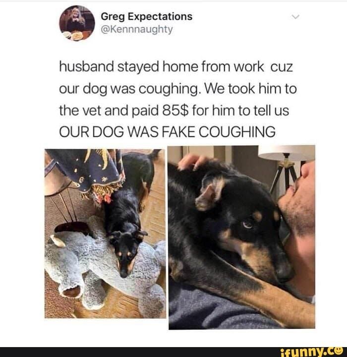 Husband Stayed Home From Work Cuz Our Dog Was Coughing We Took