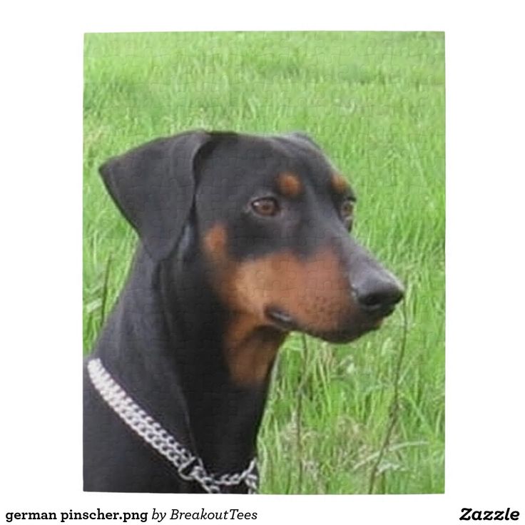Jigsaw Puzzle Deutsch Jigsaw Puzzle Deutsch