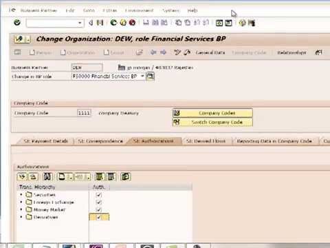 13 best SAP FICO images on Pinterest Accounting, Beekeeping and - sap hana resume 13 best SAP FICO images on Pinterest Accounting, Beekeeping and - sap hana resume