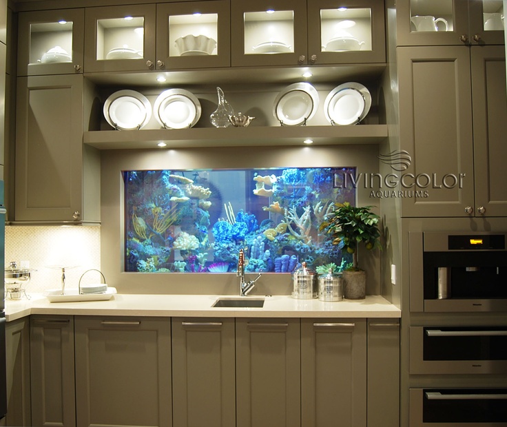 Kitchen Island Fish Tank best 20+ fish tank wall ideas on pinterest | home aquarium, wall Kitchen Island Fish Tank best 20+ fish tank wall ideas on pinterest | home aquarium, wall