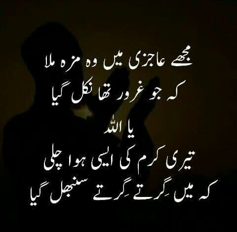 I have to be humble on this earth | Poetry quotes in urdu, Urdu funny