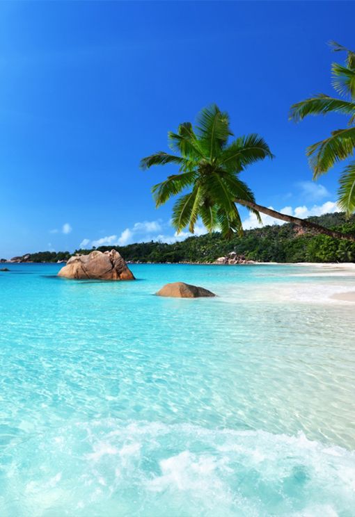 351 Best Seychelles Images By Exquisitecoasts On Pinterest Seychelles Indian Sea Africa