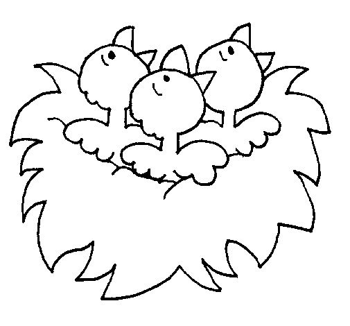 8 original Coloriage Nid Stock Oiseaux à colorier, Coloriage