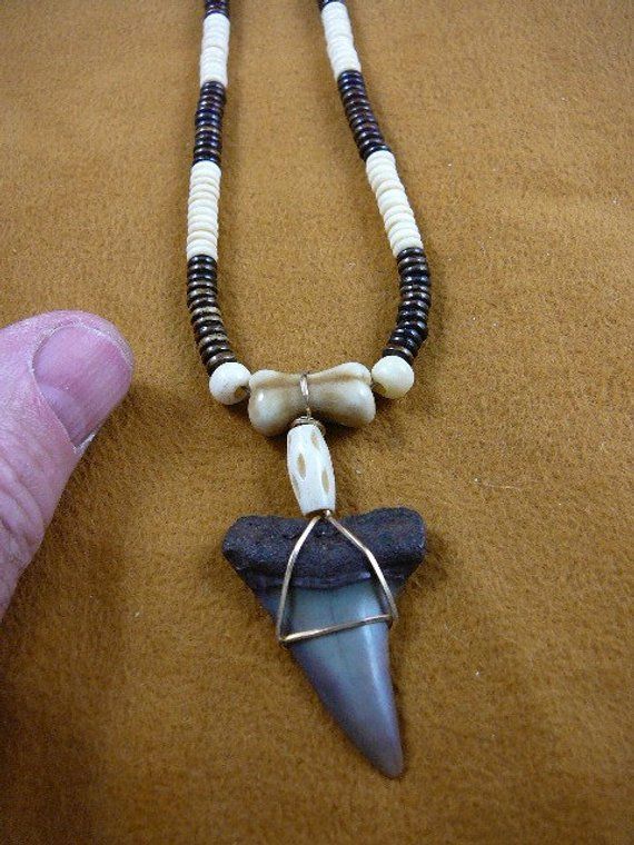 Summer Necklace Fossil Shark Tooth Shark Tooth Necklace Sharks Fossil Shark Tooth Shark Tooth Choker Sand Tiger Shark Tooth Necklace