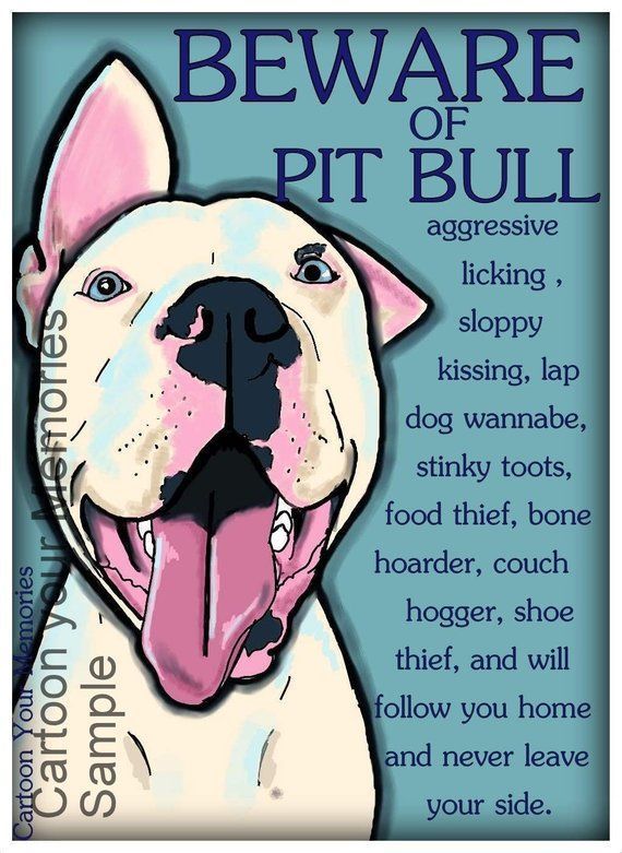 How To Stop Dog Aggression Pitbulls Pitbull Terrier Lap Dogs