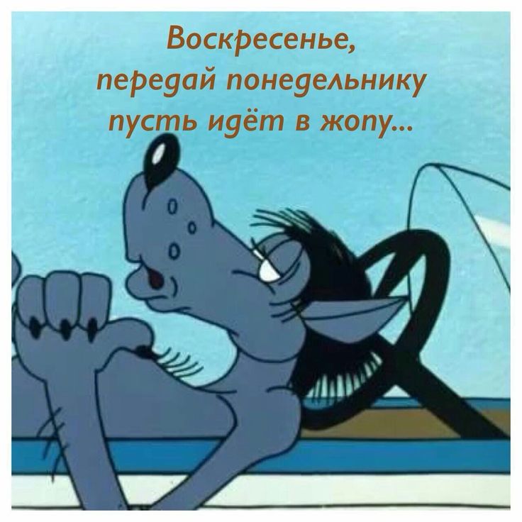 В воскресенье на работу картинки приколы