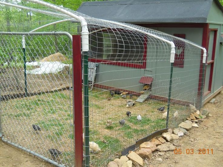 Image result for t post chicken run | Chickens backyard, Building a chicken coop How To Secure Chicken Wire To Wood