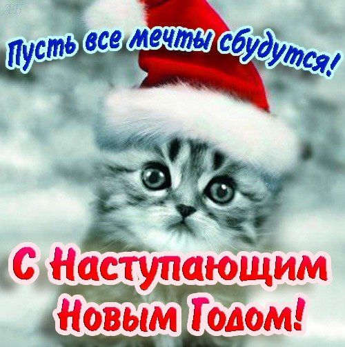 Картинках анимашки, открытки с наступающим любимая