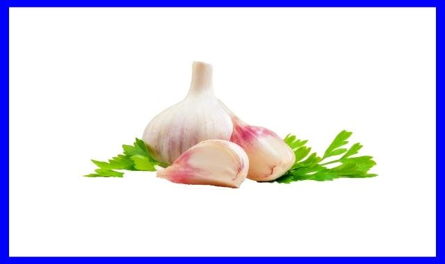 ماهي فوائد الثوم هل قرأت عن فوائد الثوم Allium Sativum الصحية والغذائية يتمي ز الثوم Allium Sativum بوجود بصلة تحت أرضية حيث أنها تتكون In 2020 Garlic Onion Allium