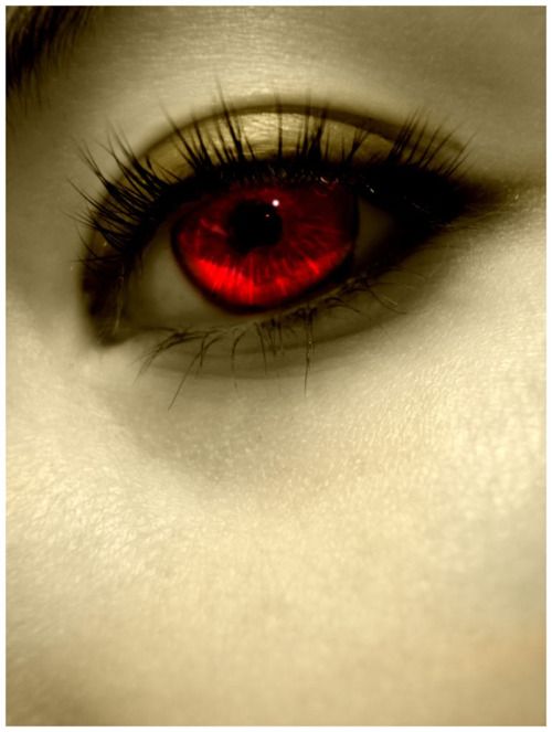 blood in s eye best 25 ideas on and creepy blood in s eye best 25 ideas on and creepy