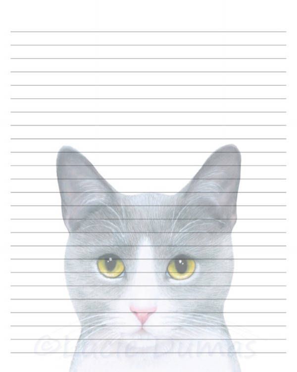 Essay writing cat pictures