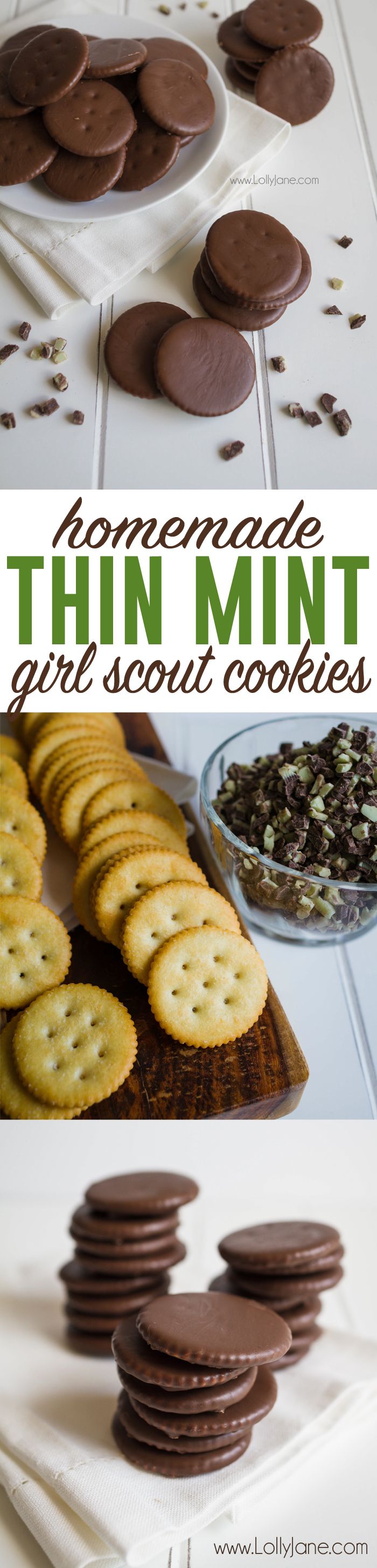 Girl scout cookie recipes rice Girl scout cookie recipes rice