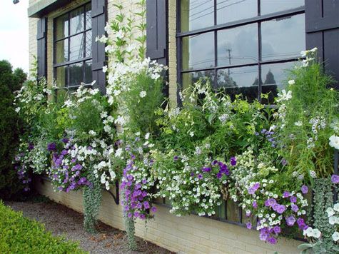 Lots Of Great Information On Window Bo And Beautiful Examples Lots Of Great Information On Window Bo And Beautiful Examples Be It Ever So Humble Pinterest Garden Flower