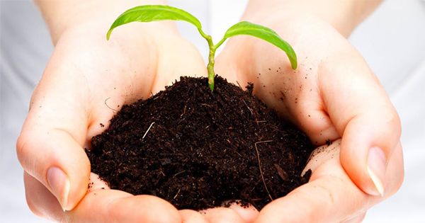 GreenMedInfo.com Is The World's Most Widely-Cited, Open-Access, Evidence-Based Natural Health Resource With 20,000+ Articles!