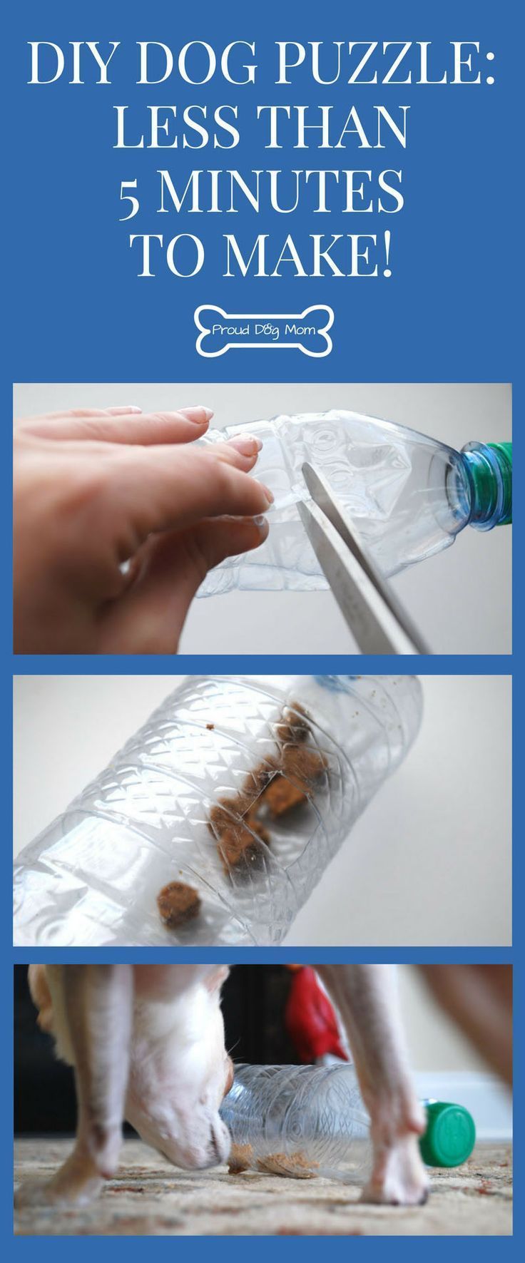 Make Cheap Stimulating Toys For Dogs Make Cheap Stimulating Toys For Dogs